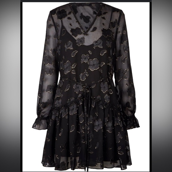 AllSaints Alia Flora Drop Waist Dress - Picture 16 of 16